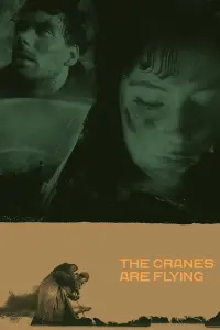 Poster to the movie "The Cranes Are Flying" #181585