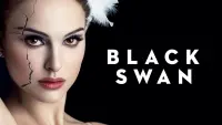 Backdrop to the movie "Black Swan" #61764