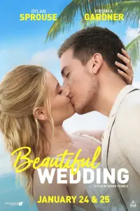 Poster to the movie "Beautiful Wedding" #190150