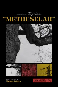 Poster to the movie "Methuselah" #530270