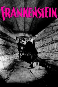 Poster to the movie "Frankenstein" #85972