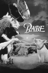 Poster to the movie "Babe" #532019