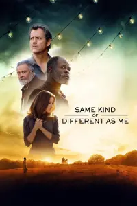 Poster to the movie "Same Kind of Different as Me" #119733