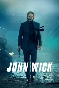 Poster to the movie "John Wick" #415867