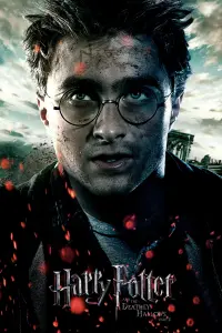 Poster to the movie "Harry Potter and the Deathly Hallows: Part 2" #9768