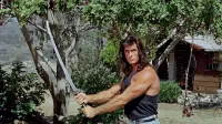 Backdrop to the movie "Samurai Cop" #385501