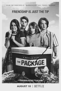 Poster to the movie "The Package" #627058