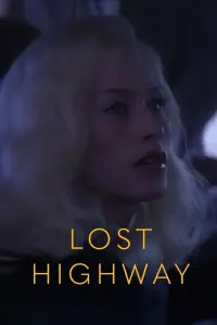 Poster to the movie "Lost Highway" #544551