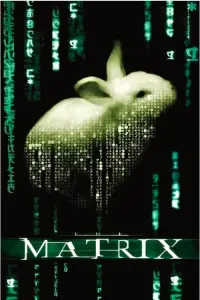 Poster to the movie "The Matrix" #564706