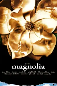 Poster to the movie "Magnolia" #96441