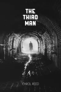 Poster to the movie "The Third Man" #341662