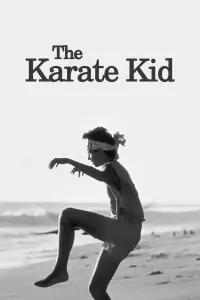 Poster to the movie "The Karate Kid" #60694