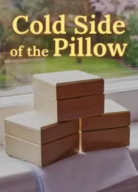 Poster to the movie "Cold Side of the Pillow" #475857