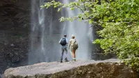 Backdrop to the movie "Love in the Great Smoky Mountains: A National Park Romance" #602494