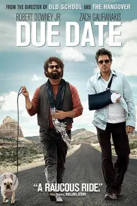 Poster to the movie "Due Date" #85146