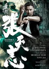 Poster to the movie "Master Z: Ip Man Legacy" #90610