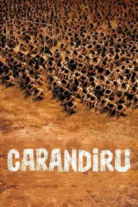 Poster to the movie "Carandiru" #489842