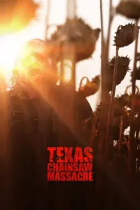 Poster to the movie "Texas Chainsaw Massacre" #18087