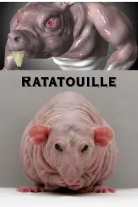 Poster to the movie "Ratatouille" #12564