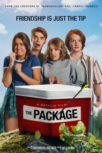 Poster to the movie "The Package" #150691