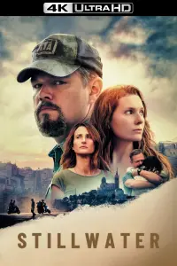 Poster to the movie "Stillwater" #270158