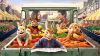 Backdrop to the movie "Peter Rabbit 2: The Runaway" #237701