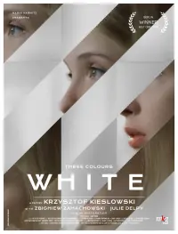 Poster to the movie "Three Colors: White" #99651