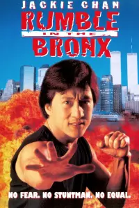 Poster to the movie "Rumble in the Bronx" #260908