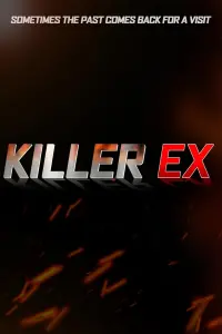 Poster to the movie "Killer Ex" #368832