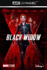 Poster to the movie "Black Widow" #23545