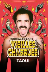 Poster to the movie "Zaoui en concert aux Vieilles Charrues 2024" #530970