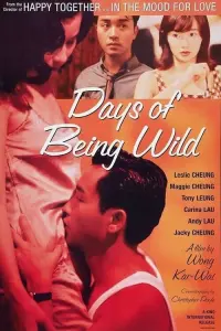 Poster to the movie "Days of Being Wild" #144115