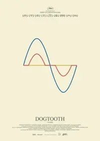 Poster to the movie "Dogtooth" #96323