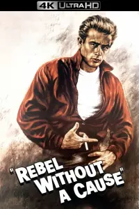 Poster to the movie "Rebel Without a Cause" #121098