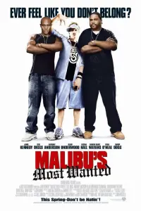 Poster to the movie "Malibu