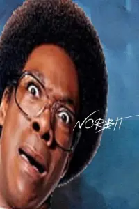 Poster to the movie "Norbit" #317175