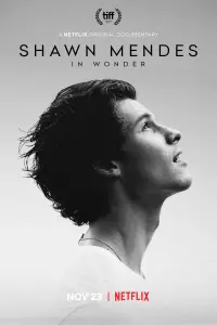 Poster to the movie "Shawn Mendes: In Wonder" #332505