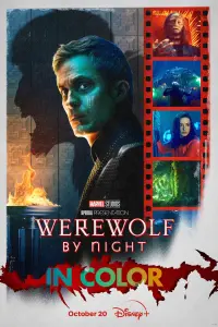 Poster to the movie "Werewolf by Night" #46230