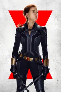 Poster to the movie "Black Widow" #313585