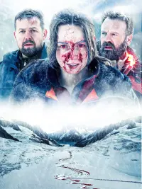 Poster to the movie "Blood and Snow" #663578