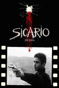 Poster to the movie "Sicario" #673660