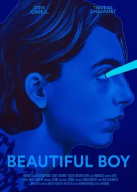 Poster to the movie "Beautiful Boy" #402213