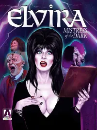 Poster to the movie "Elvira, Mistress of the Dark" #129972