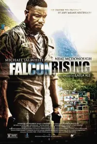 Poster to the movie "Falcon Rising" #144775