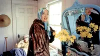 Backdrop to the movie "Grey Gardens" #684355