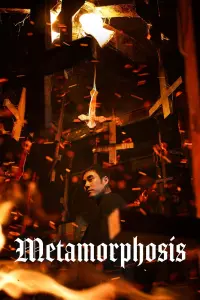 Poster to the movie "Metamorphosis" #156997