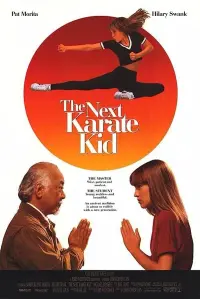 Poster to the movie "The Next Karate Kid" #63673