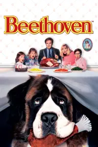 Poster to the movie "Beethoven" #93562