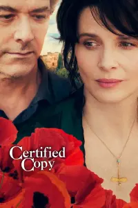 Poster to the movie "Certified Copy" #250661