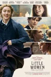 Poster to the movie "Little Women" #183573